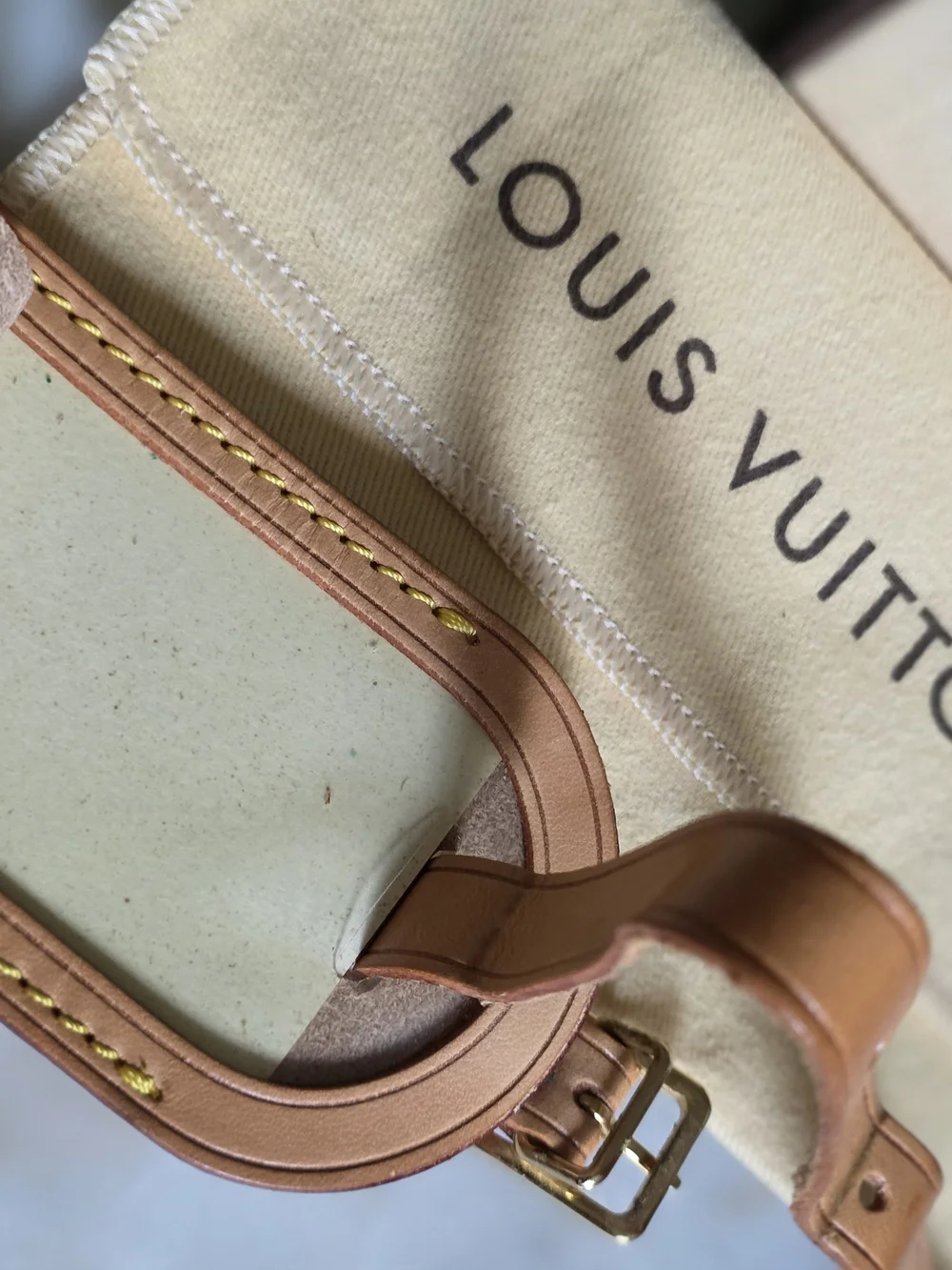 Louis Vuitton authentic louis